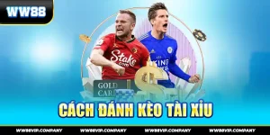 Cách đánh kèo tài xỉu