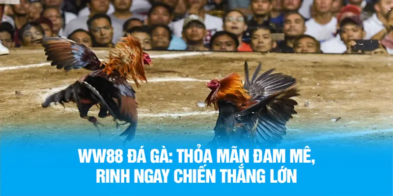 Mọi khách hàng đều được chăm sóc với tinh thần tận tụy