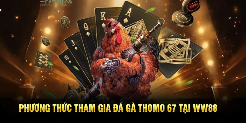 Phương thức tham gia đá gà thomo 67 tại WW88