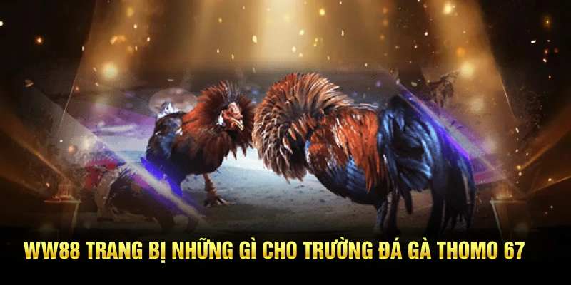 WW88 trang bị những gì cho trường đá gà thomo 67